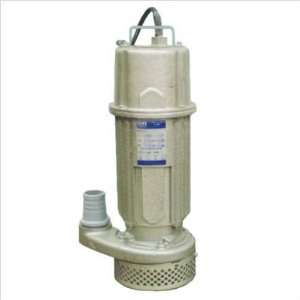  OTS 2 GR Grey Iron Submersible Pump with 1/2 HP, 115 V 