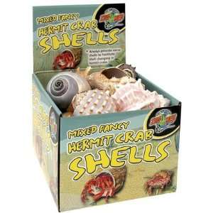  Hermit Crab Shells   24 ct (Quantity of 2) Health 