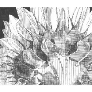  Flowerback, Original Drawing, Home Decor Artwork