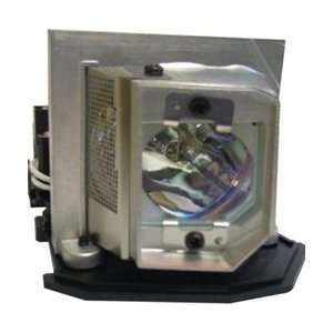  Electrified 725 10196 O Series Replacement Lamp 