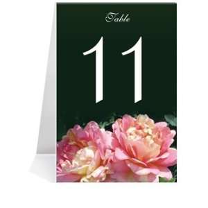   Number Cards   Twin Peach Roses on Black #1 Thru #29