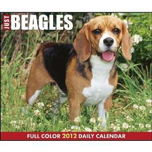  Beagles 2012 Daily Box Calendar