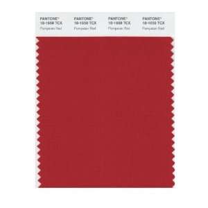  PANTONE SMART 18 1658X Color Swatch Card, Pompeian Red 