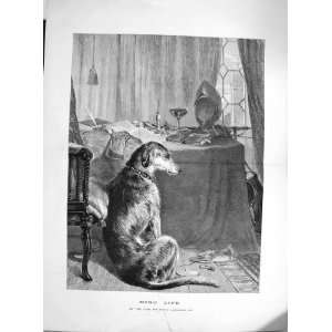    1874 High Life Edwin Landseer Puppy Dog Table Chair