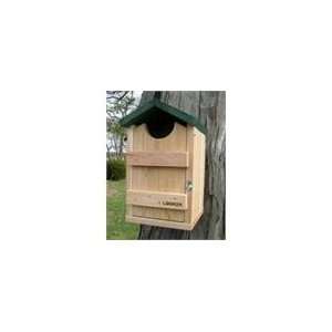  Looker Products Screech Owl, Kestrel and Flicker House 
