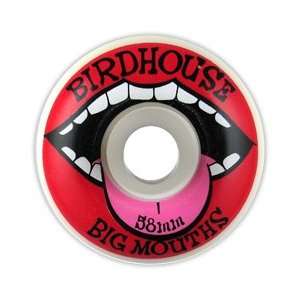  Birdhouse Big Mouths 58mm