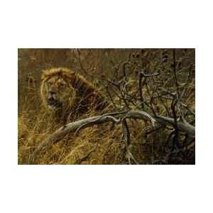   Robert Bateman   Encounter in the Bush African Lions