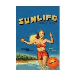  Sunlife Brand 20x30 poster