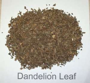 DANDELION leaf herb 1oz for pagan ritual spell incence  