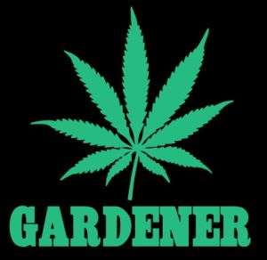 Gardener T Shirt Cannabis Weed Cool Funny Marijuana Pot  