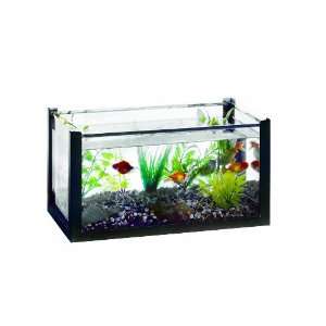 American Educational 40111 Aquarium with Acrylic Cover, 10 Gallon 