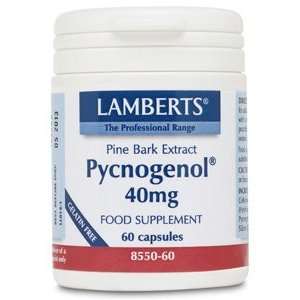  Lamberts Pcynogenol 40mg 60 capsules Health & Personal 