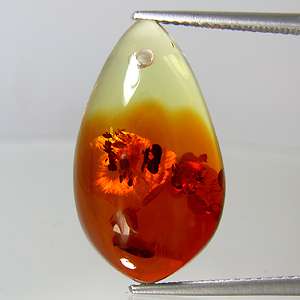 83Cts Fabulous Top Multi Color Natural Amber Cabochon   