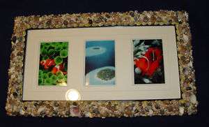 Handcrafted Seashell Picture Frame 23 x 13 F07102011A by MePoochie 