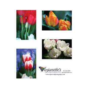  Tulips Set 4