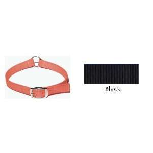 Hallmark 51722 1 Inch Wide Safety Collar with Reflective Strip   Black 
