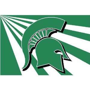   Michigan State Spartans NCAA Tufted Rug (20 x30 )