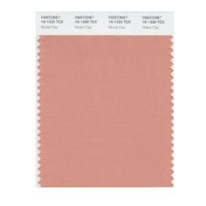  PANTONE SMART 16 1330X Color Swatch Card, Muted Clay