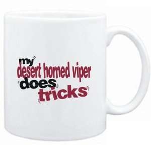    My Desert Horned Viper does tricks  Animals