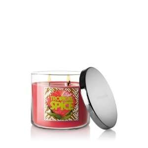   Works Slatkin and Co   3 Wick Scented 14.5 oz Candle   TROPICAL SPICE