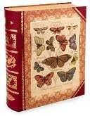 Large Butterfly Book Box Punch Studio