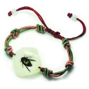  YL12 Real Bug Bracelet lucky beetle pack of 3 Patio, Lawn & Garden