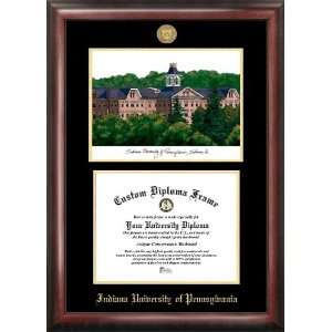  Indiana University of Pennsylvania Gold Embossed Diploma 