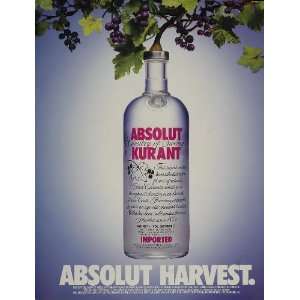   Ad Absolut Kurant Grapes Leaves Branch Bottle NICE   Original Print Ad