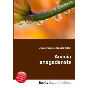  Acacia anegadensis Ronald Cohn Jesse Russell Books