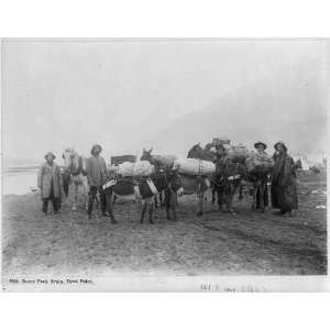  Burro pack train,Dyea Point,Alaska,AK,c1897,Men,bags