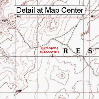  USGS Topographic Quadrangle Map   Burro Spring, Arizona 