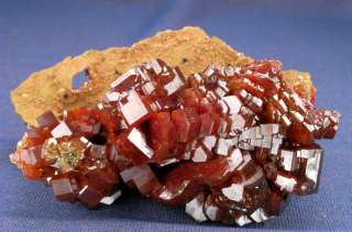 WORLDCLASS GEMMY VANADINITE GROUP, BIG CRYSTALS, WOW  