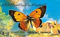 Butterflies in Libyan Stamps items in libyan philatelic center store 