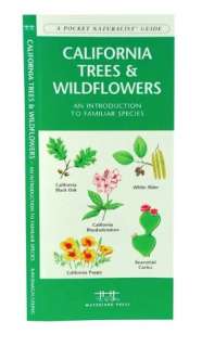   Wildflowers by Craig MacGowan, Mountaineers Books, The  Paperback