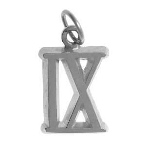   16 Tall with Loop Sterling Silver IX Sober 12 step Jewelry Charm Gift