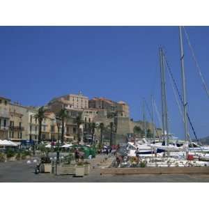 Harbour at Calvi, Balagne Region, Corsica, France, Mediterranean 