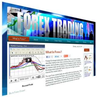 FOREX Money Making Home Based Business   4 AUTO Income  