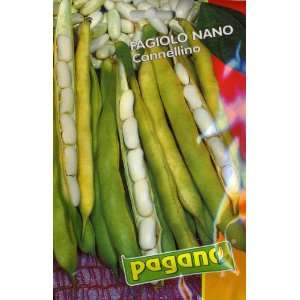  Pagano 3448 Bean Bush Cannellino Seed Packet Patio, Lawn 