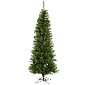  9.5 x 44 Salem Pencil Pine Christmas Tree w/ 1171T 450 