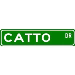  CATTO Street Sign ~ Personalized Family Lastname Sign 