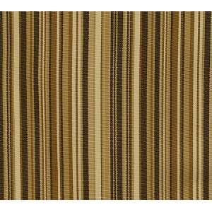  1705 Lanikai in Coffee by Pindler Fabric