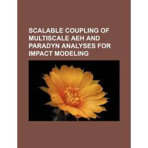  Scalable coupling of multiscale AEH and PARADYN analyses 