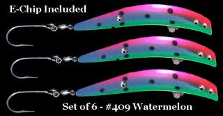   rigged with leader and hook sets of 6 in 409 watermelon now you can