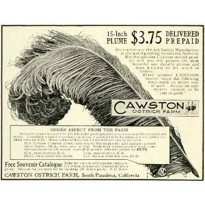  1905 Ad Cawston Ostrich Farm Fashionable Hat Bird Feathers 