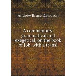  A commentary, grammatical and exegetical, on the book of Job 