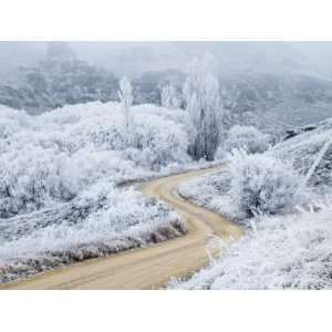 Hoar Frost and Road by Butchers Dam, near Alexandra, Central Otago 