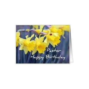  Pastor Happy Birthday, Daffodils and Ladybug Photo Card 