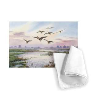  White Fronted Geese Alighting by Carl Donner   Tea Towel 