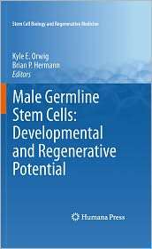 Male Germline Stem Cells Developmental and Regenerative Potential 