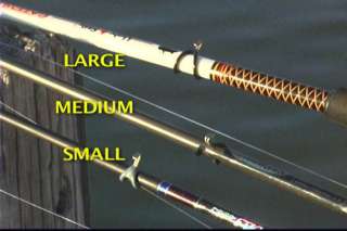accomodate different spinning rod sizes.